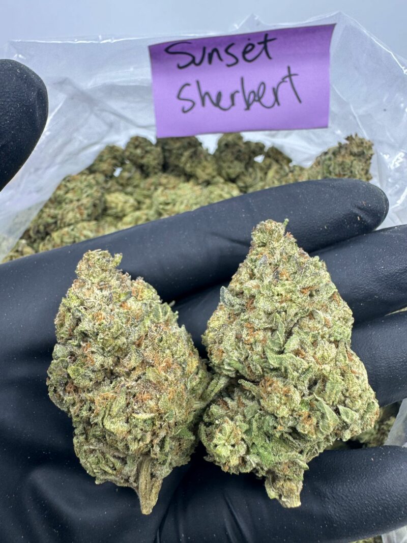 SUNSET SHERBET - Image 2