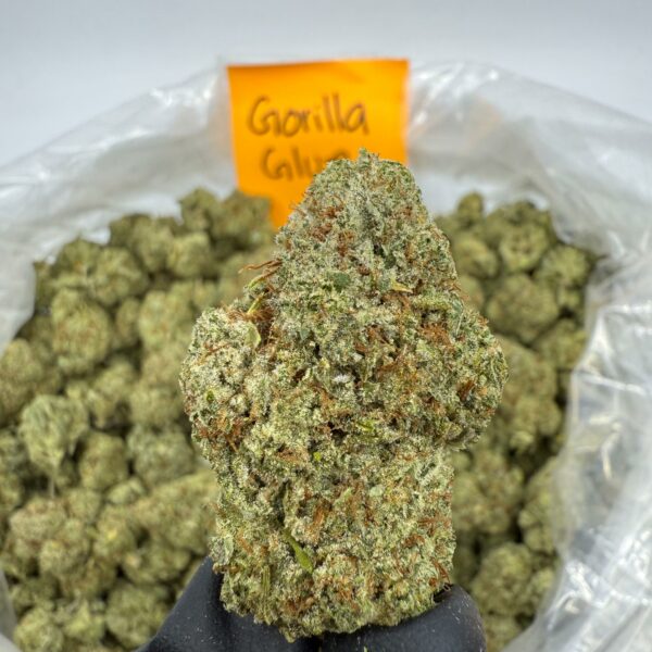 GORILLA GLUE