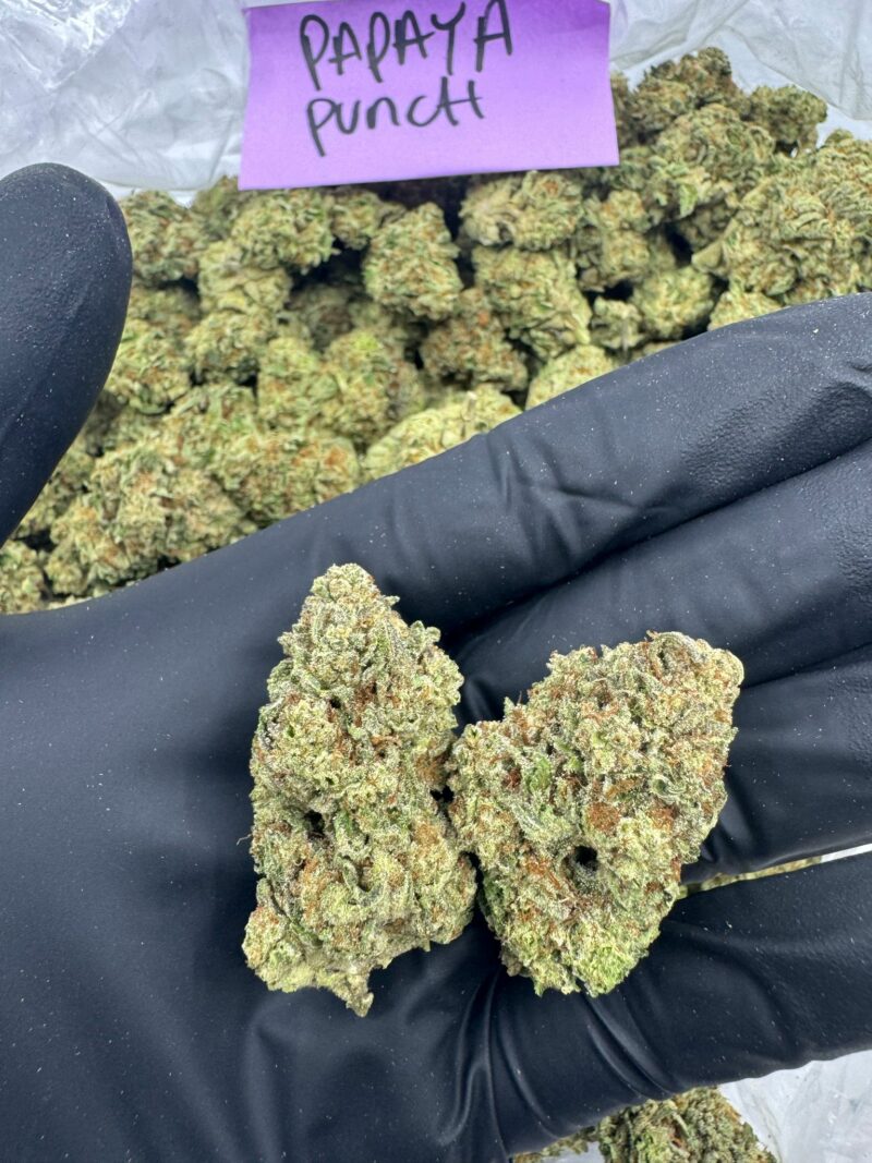 PAPAYA PUNCH - Image 2
