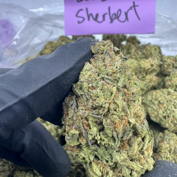 SUNSET SHERBET