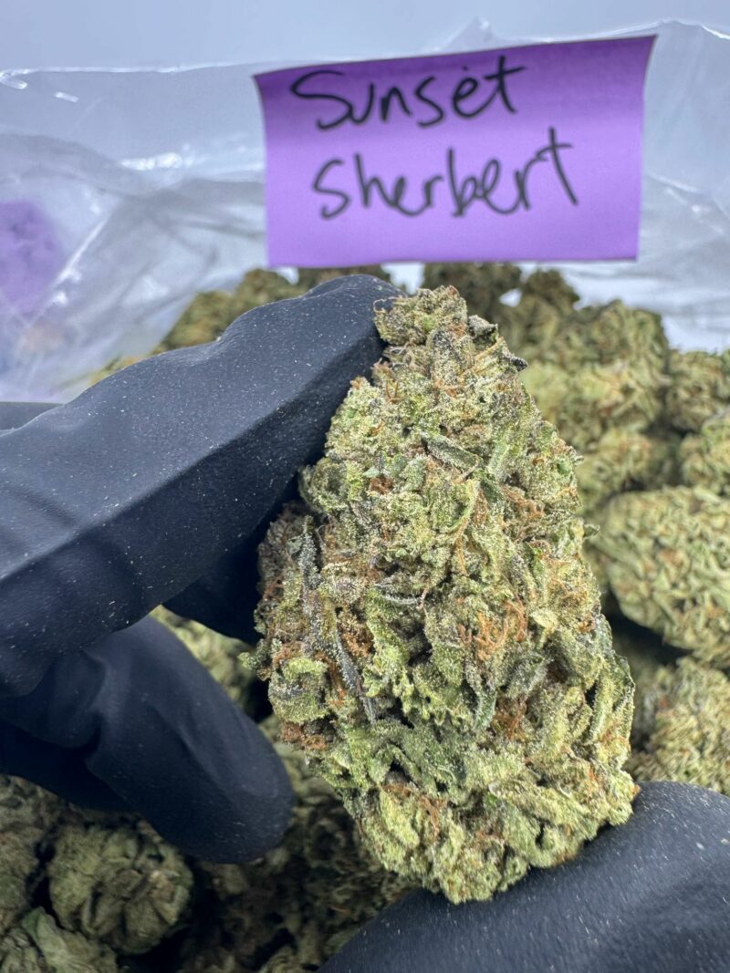 SUNSET SHERBET
