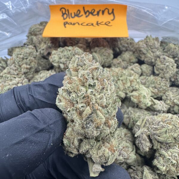 BLUEBERRY PANCAKE