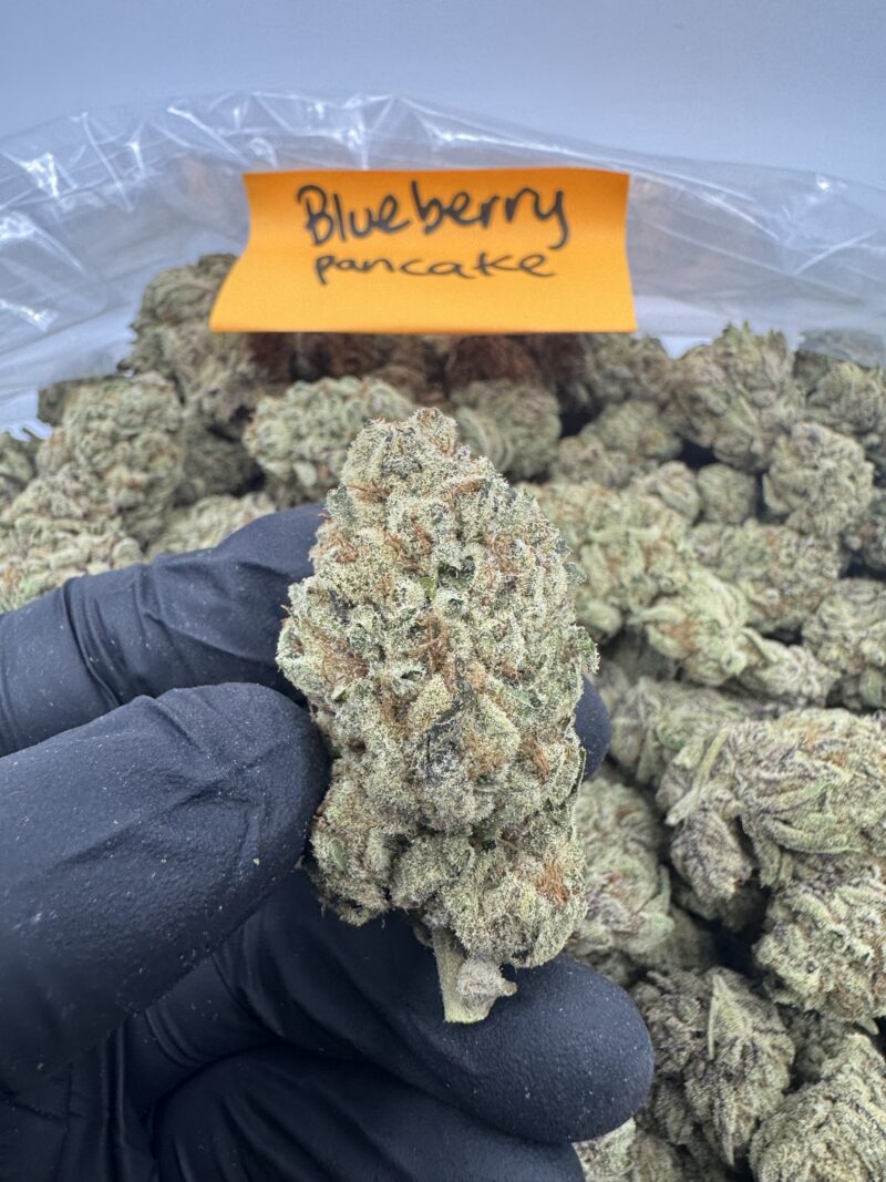 BLUEBERRY PANCAKE