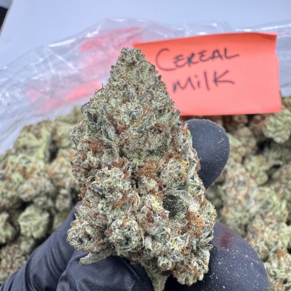 CEREAL MILK