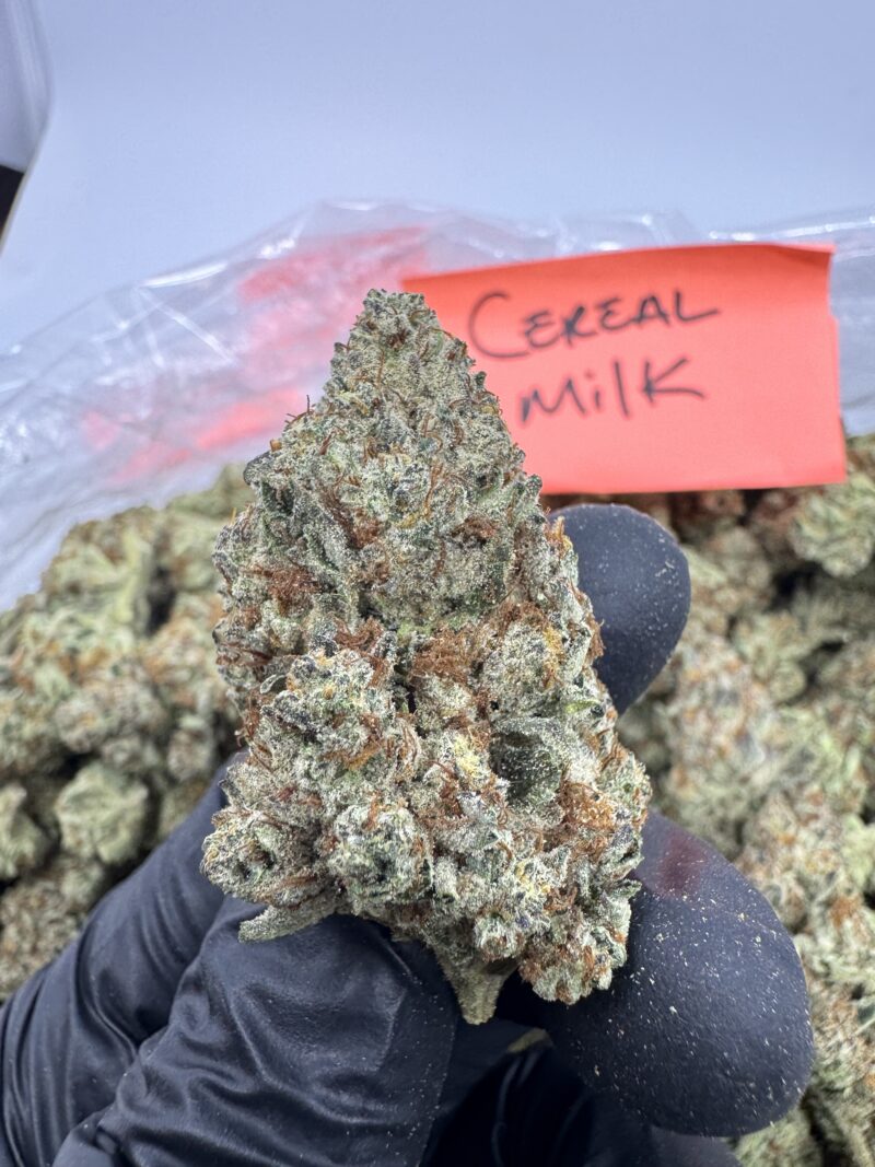 CEREAL MILK