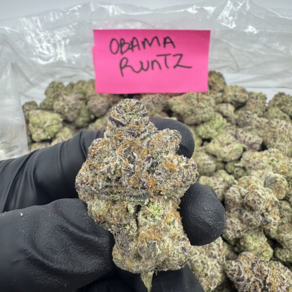 OBAMA RUNTZ