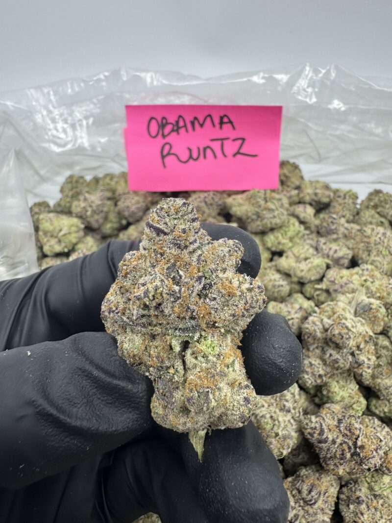 OBAMA RUNTZ