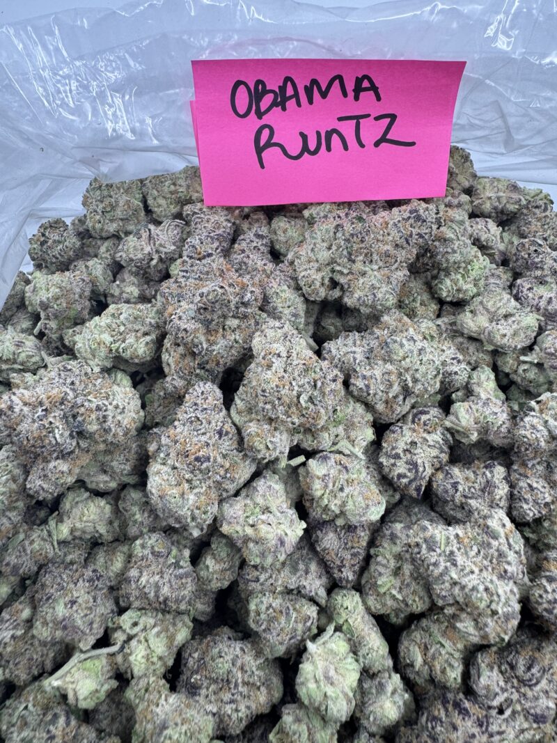 OBAMA RUNTZ - Image 2