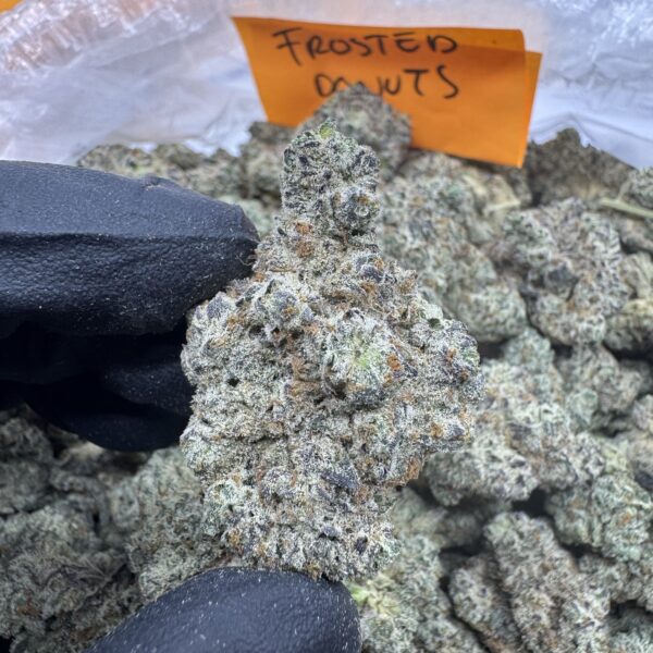FROSTED DONUT