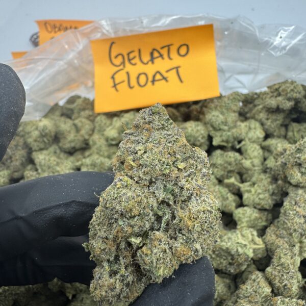 GELATO FLOAT