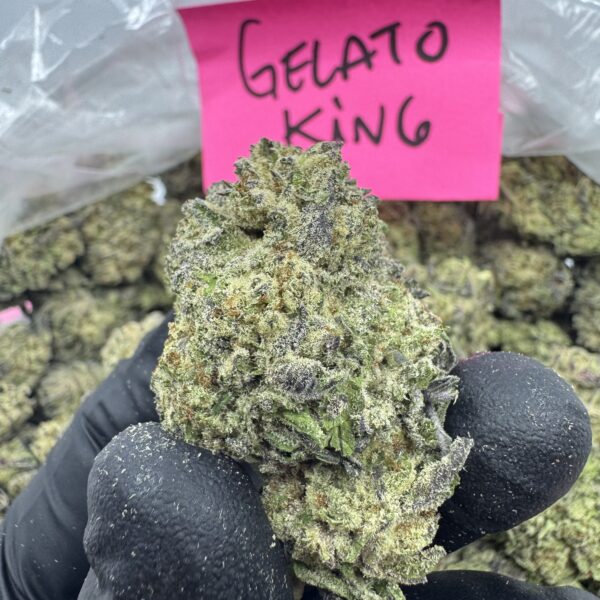 GELATO KING