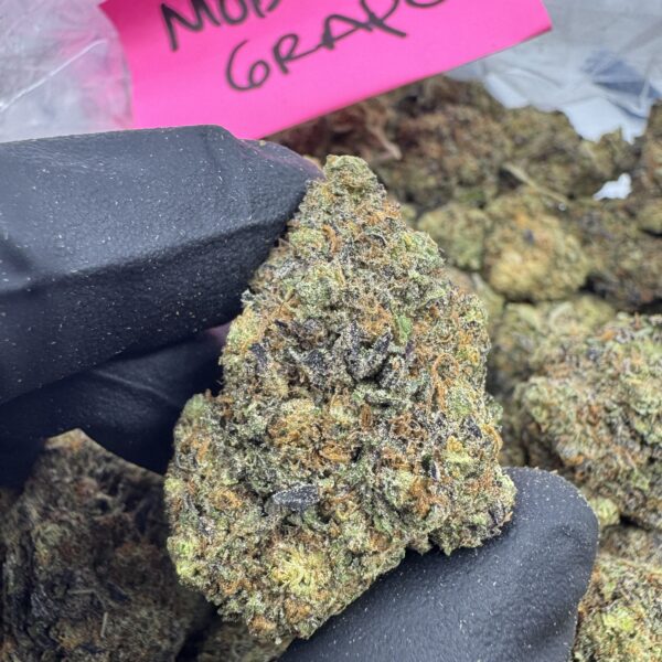 MODIFIED GRAPES