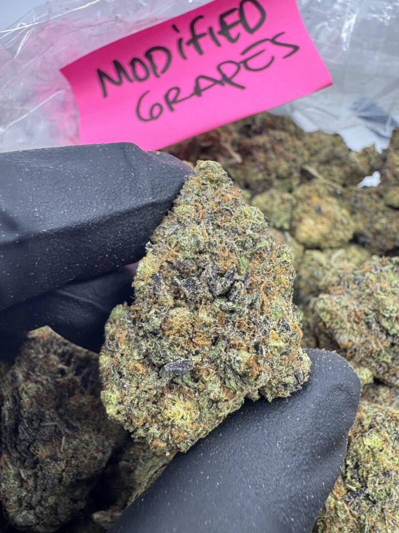 MODIFIED GRAPES