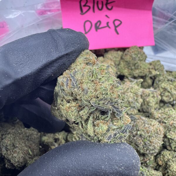 BLUE DRIP
