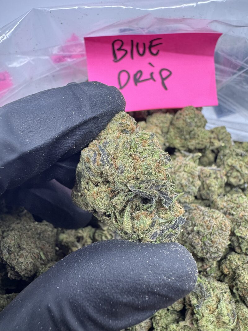 BLUE DRIP