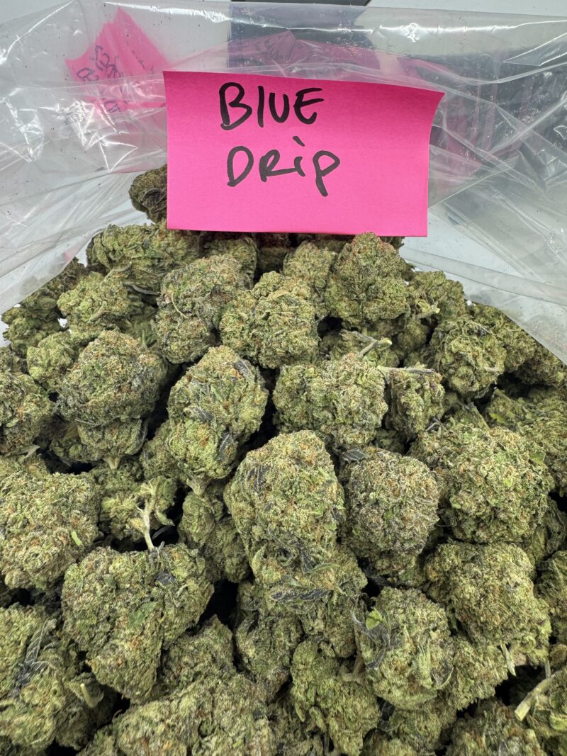 BLUE DRIP - Image 2
