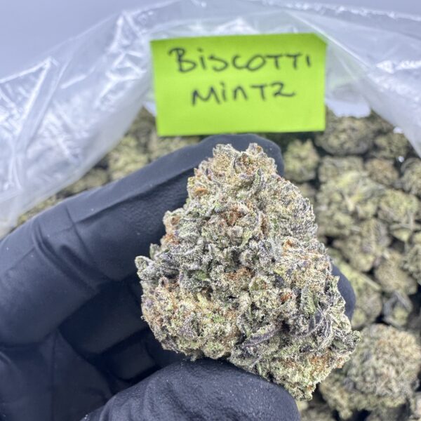 BISCOTTI MINTZ