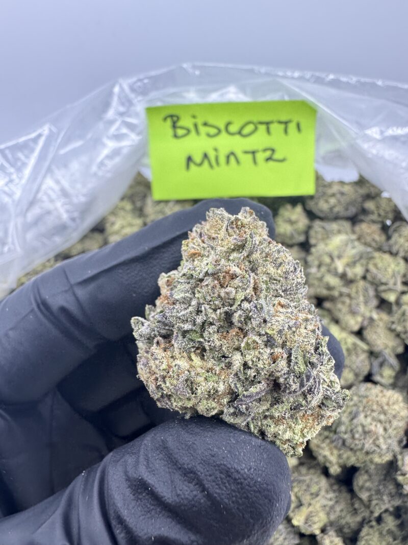 BISCOTTI MINTZ