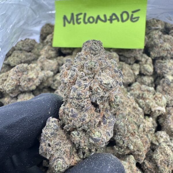 MELONADE
