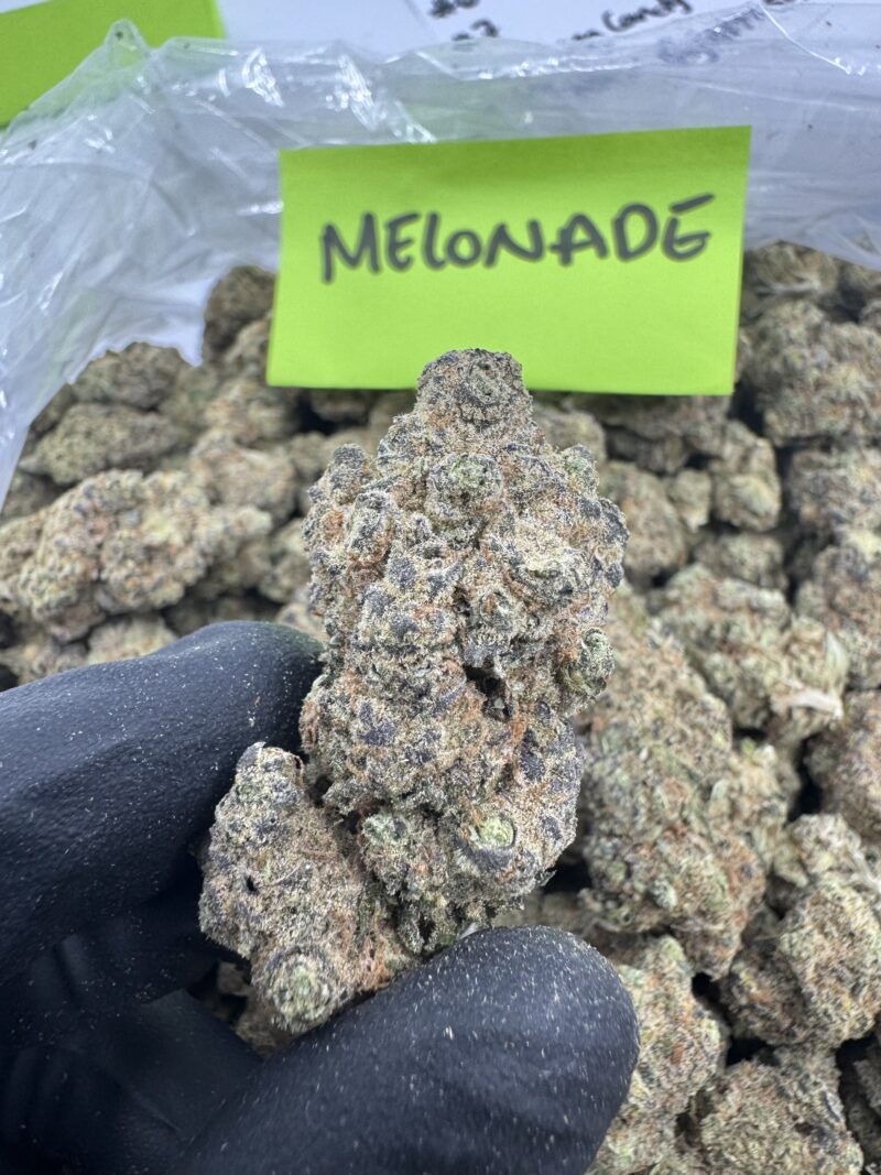 MELONADE