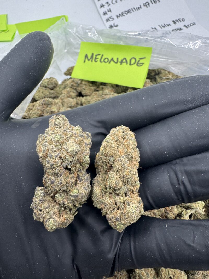 MELONADE - Image 2