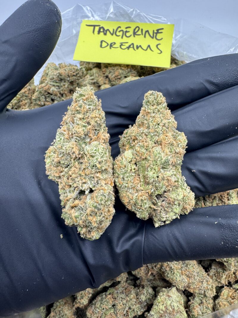 TANGERINE DREAM - Image 2