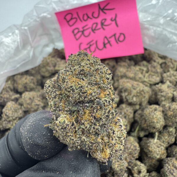 BLACKBERRY GELATO