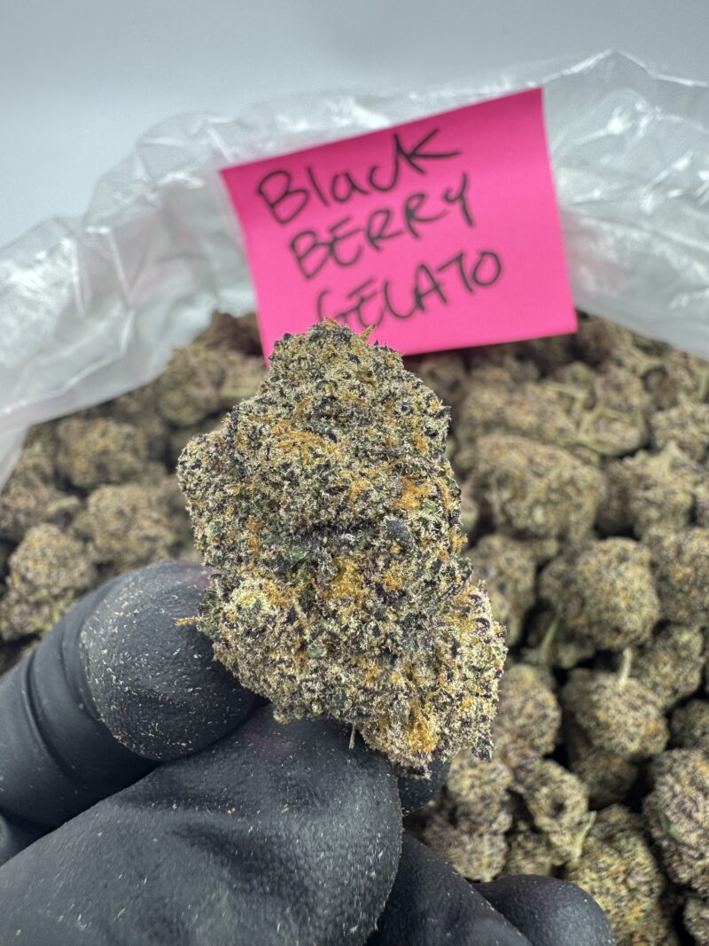 BLACKBERRY GELATO