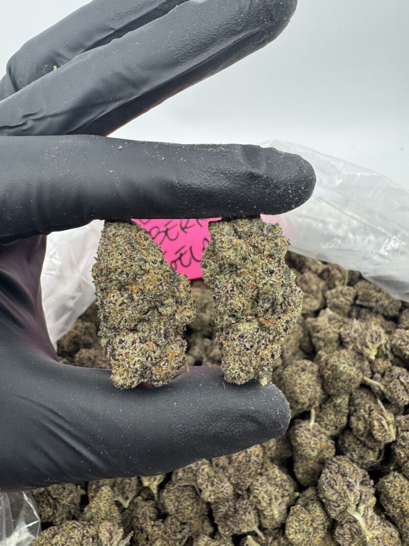 BLACKBERRY GELATO - Image 2