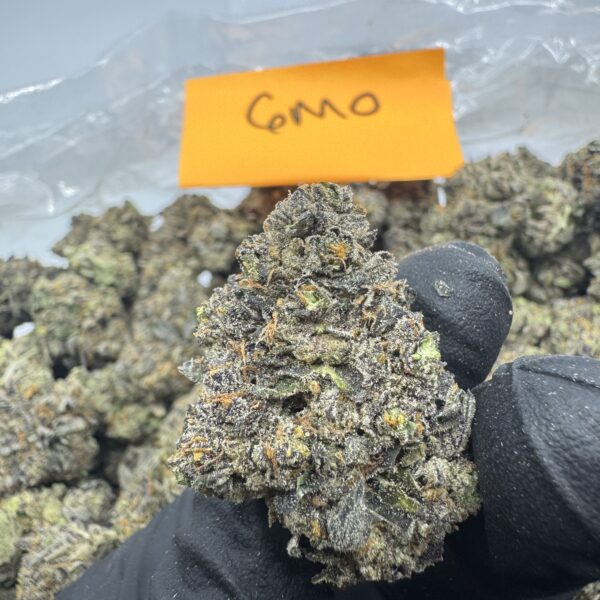 GMO (Garlic, Mushroom, Onion)