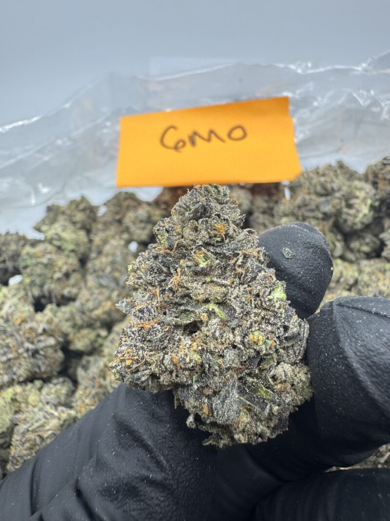 GMO (Garlic, Mushroom, Onion)