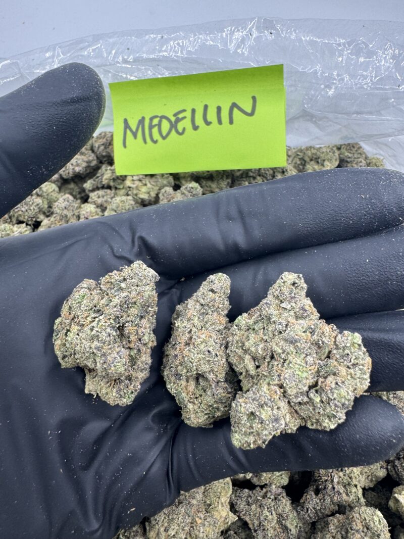 MEDELLIN - Image 2