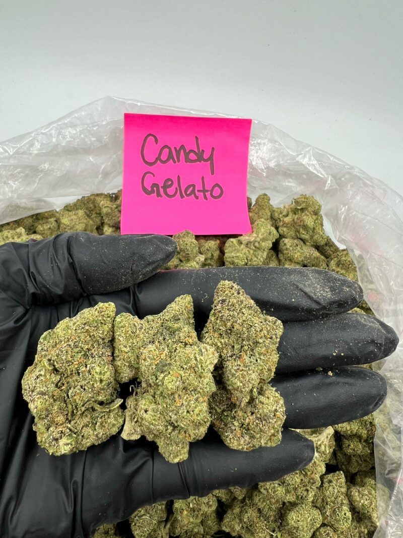 CANDY GELATO - Image 2