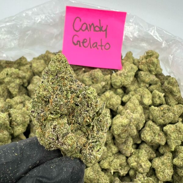 CANDY GELATO