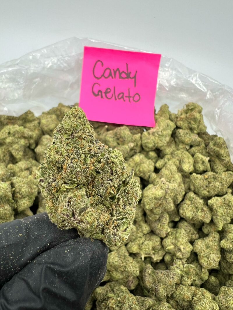 CANDY GELATO