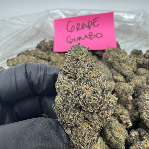 GRAPE GUMBO