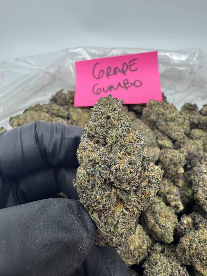 GRAPE GUMBO