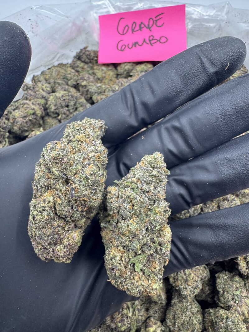 GRAPE GUMBO - Image 2