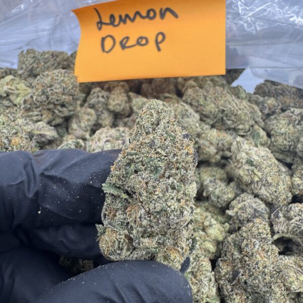 LEMON DROP
