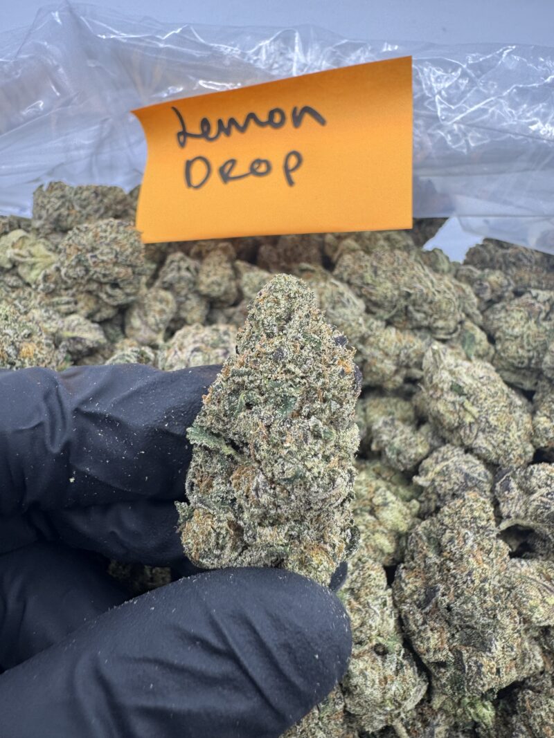 LEMON DROP