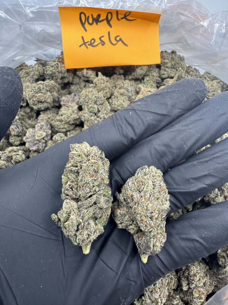 PURPLE TESLA - Image 2