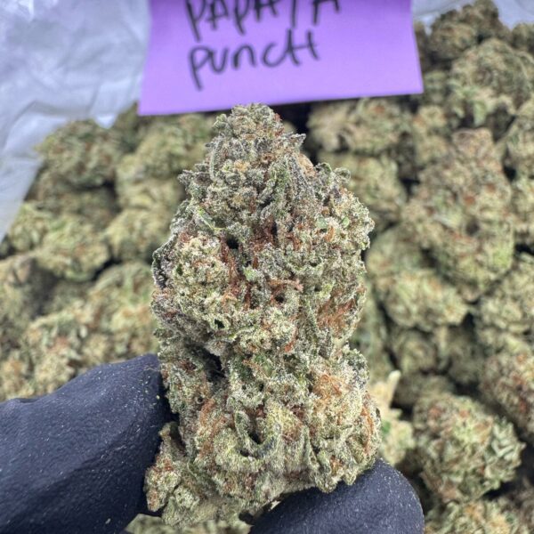 PAPAYA PUNCH