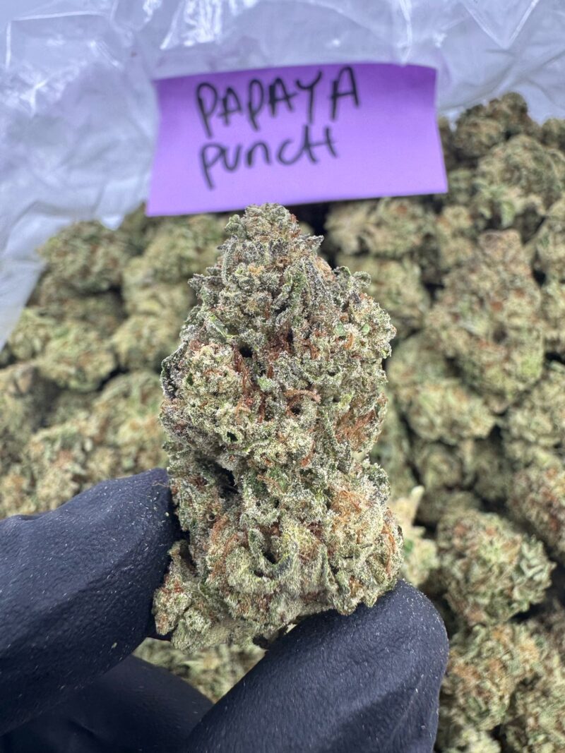 PAPAYA PUNCH