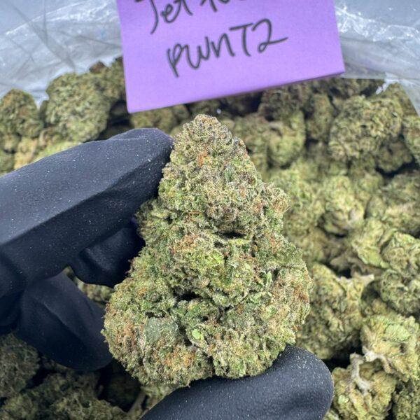 JET FUEL RUNTZ